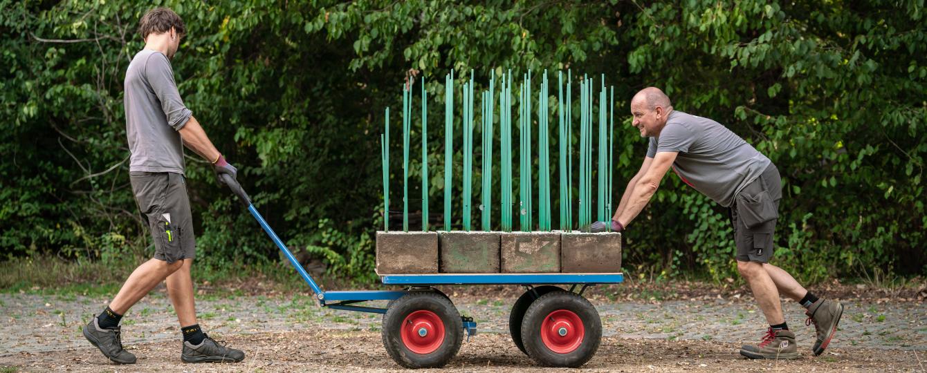 Verplaatsing van het werk 'Double Progression Vert et Blanc' van Jésus Rafael Soto